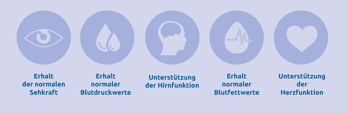 nahrungsergänzung omega3 omega3balance fischöl